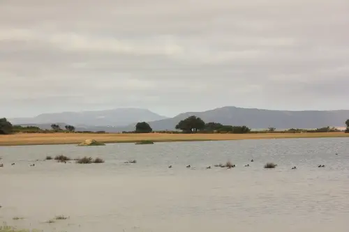 Humedales-Almansa-La-Sierra2