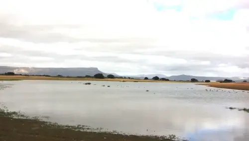 Humedales-Almansa-La-Sierra3