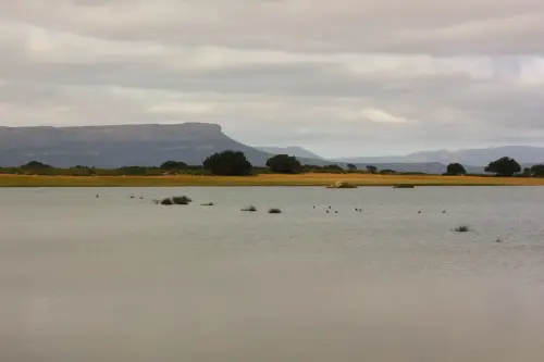 Humedales-Almansa-La-Sierra4