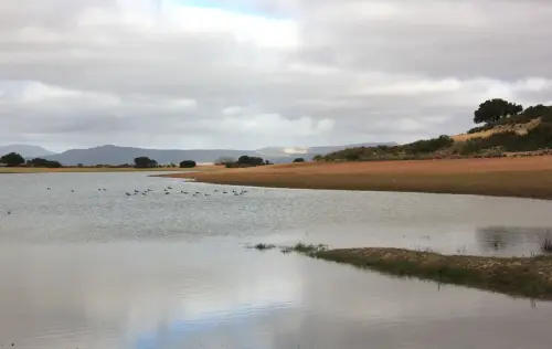 Humedales-Almansa-La-Sierra5