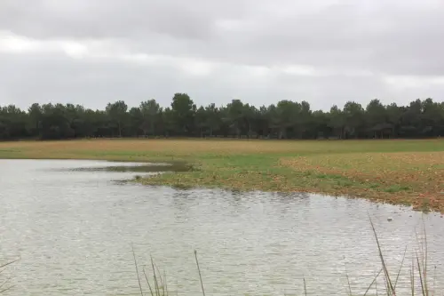 Humedales-Almansa-La-Sierra6