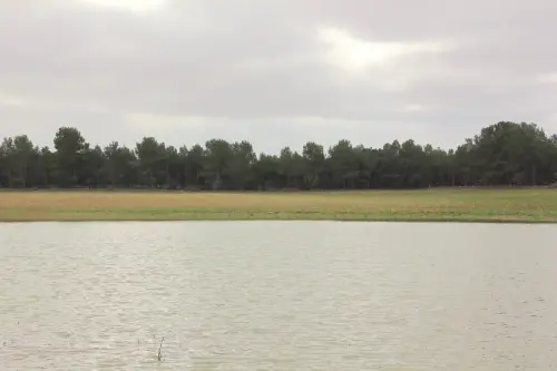 Humedales-Almansa-La-Sierra7