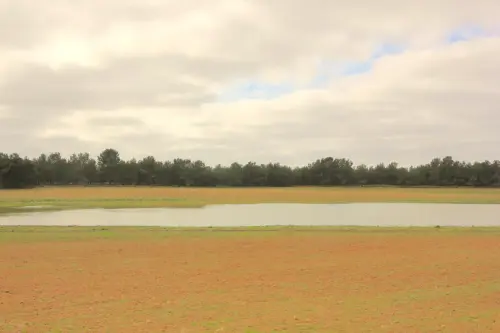 Humedales-Almansa-La-Sierra8