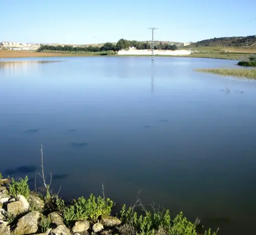 Humedales-Bonete-Lagunazo-estacional