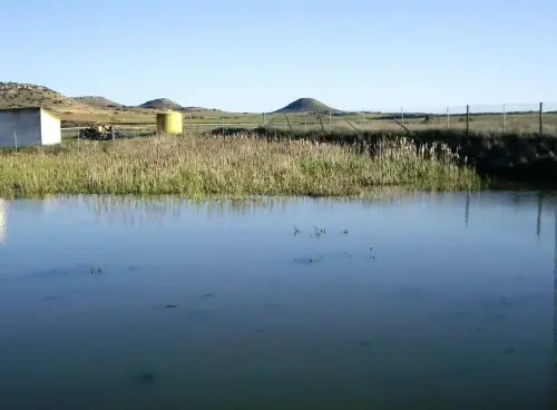 Humedales-Bonete-Lagunazo-estacional2