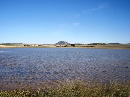 Humedales-Bonete-a-Higueruela