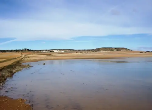 Humedales-Bonete-a-Montealegre-Lagunazo-en-Fuentechilla