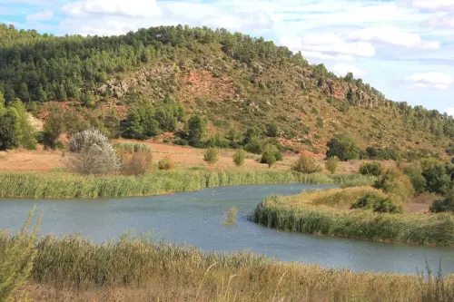 Humedales-Casas-de-Ves-Laguna-del-Salero-de-Lazaro