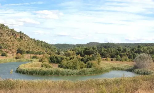 Humedales-Casas-de-Ves-Laguna-del-Salero-de-Lazaro3