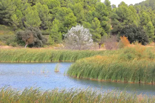 Humedales-Casas-de-Ves2-Laguna-del-Salero-de-Lazaro2