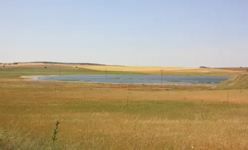 Humedales-Chinchilla-Hoya-Veilla-Laguna-de-Hoya-Pelada