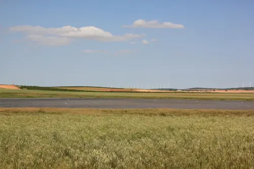 Humedales-Chinchilla-Hoya-Veilla-Laguna-de-Hoya-Pelada3