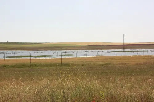 Humedales-Chinchilla-Hoya-Veilla-Laguna-de-Hoya-Pelada6