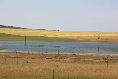 Humedales-Chinchilla-Hoya-Veilla-Laguna-de-Hoya-Pelada7