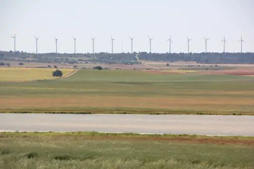 Humedales-Chinchilla-Hoya-Veilla-Laguna-de-Hoya-Pelada8