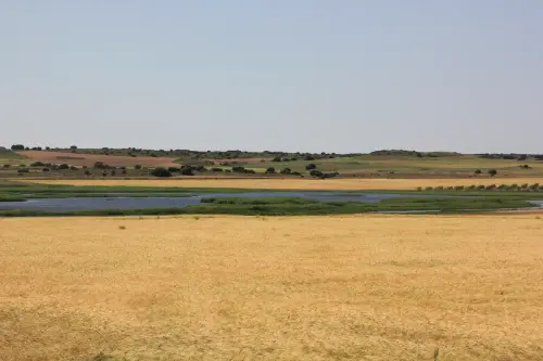 Humedales-Chinchilla-Hoya-Veilla2