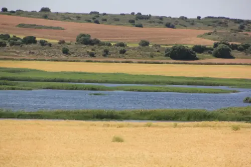 Humedales-Chinchilla-Hoya-Veilla3