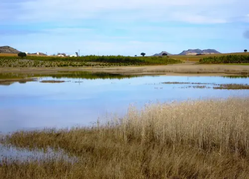 Humedales-Chinchilla-Laguna-de-Horna