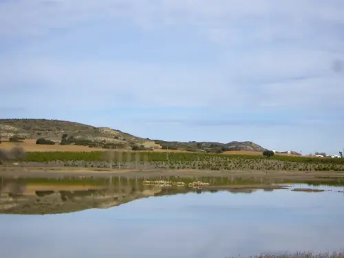 Humedales-Chinchilla-Laguna-de-Horna2