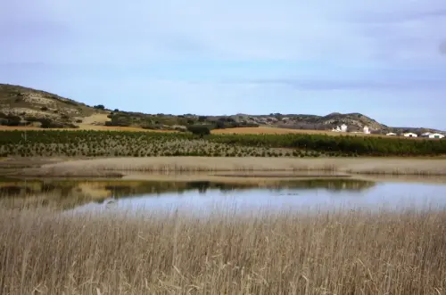 Humedales-Chinchilla-Laguna-de-Horna3