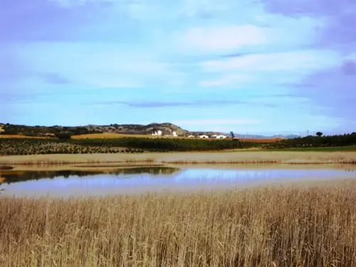 Humedales-Chinchilla-Laguna-de-Horna4