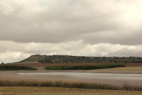 Humedales-Chinchilla-Laguna-de-Horna6