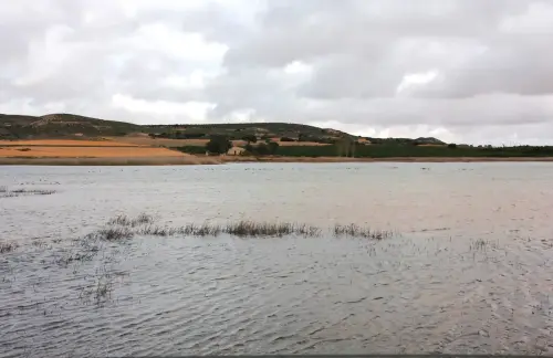 Humedales-Chinchilla-Laguna-de-Horna7