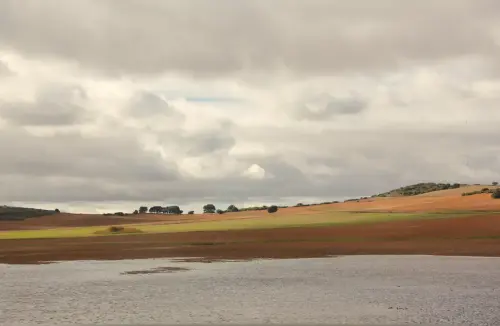 Humedales-Chinchilla-Laguna-de-Horna8