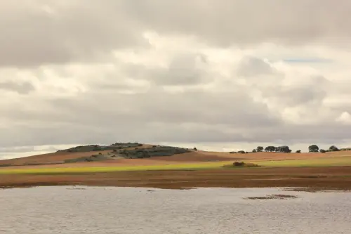 Humedales-Chinchilla-Laguna-de-Horna9