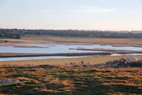 Humedales-Chinchilla-Laguna-de-Villora