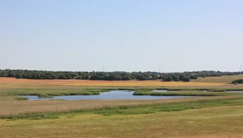 Humedales-Chinchilla-Laguna-de-Villora10