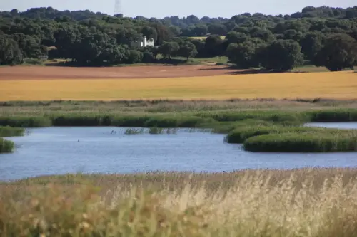 Humedales-Chinchilla-Laguna-de-Villora12