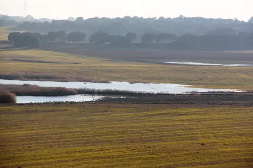 Humedales-Chinchilla-Laguna-de-Villora2