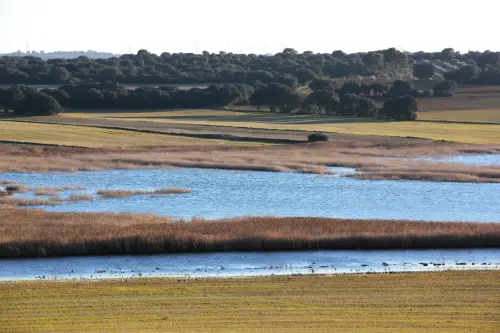 Humedales-Chinchilla-Laguna-de-Villora3