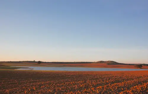 Humedales-Chinchilla-Laguna-de-Villora4