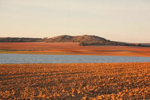 Humedales-Chinchilla-Laguna-de-Villora5