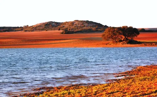 Humedales-Chinchilla-Laguna-de-Villora6