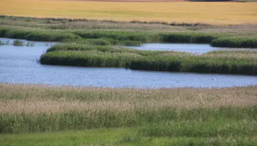 Humedales-Chinchilla-Laguna-de-Villora8