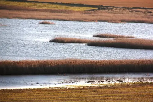 Humedales-Chinchilla-Laguna-de-Villora9