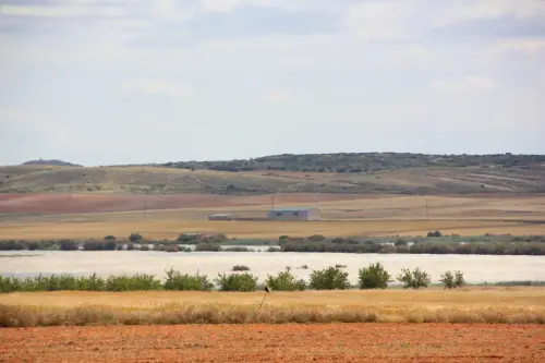 Humedales-Corral-Rubio-Hoya-Grande10