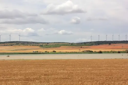 Humedales-Corral-Rubio-Hoya-Grande13