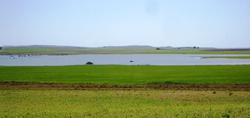 Humedales-Corral-Rubio-Hoya-Grande2