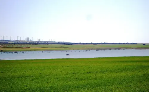 Humedales-Corral-Rubio-Hoya-Grande3