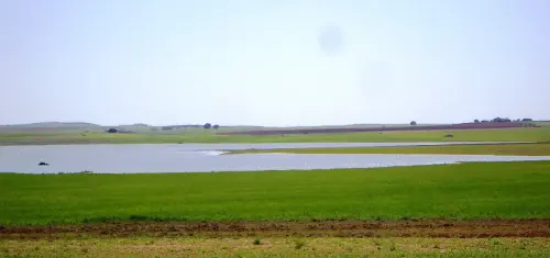 Humedales-Corral-Rubio-Hoya-Grande4