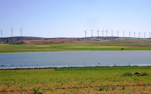 Humedales-Corral-Rubio-Hoya-Grande5
