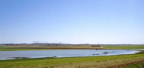 Humedales-Corral-Rubio-Hoya-Grande6