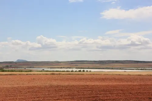 Humedales-Corral-Rubio-Hoya-Grande7