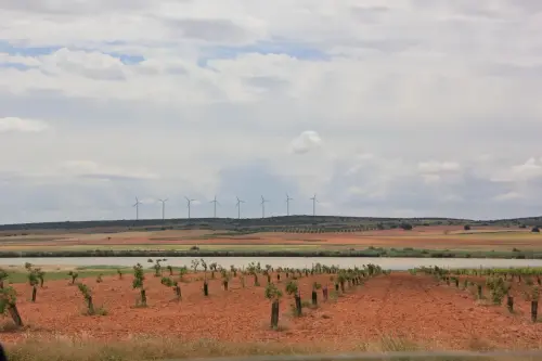 Humedales-Corral-Rubio-Hoya-Grande8