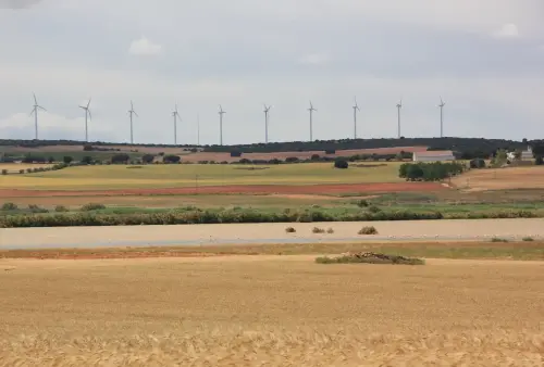 Humedales-Corral-Rubio-Hoya-Grande9