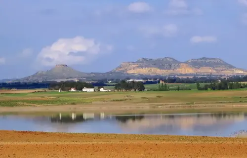 Humedales-Corral-Rubio-Hoya-del-Pozo